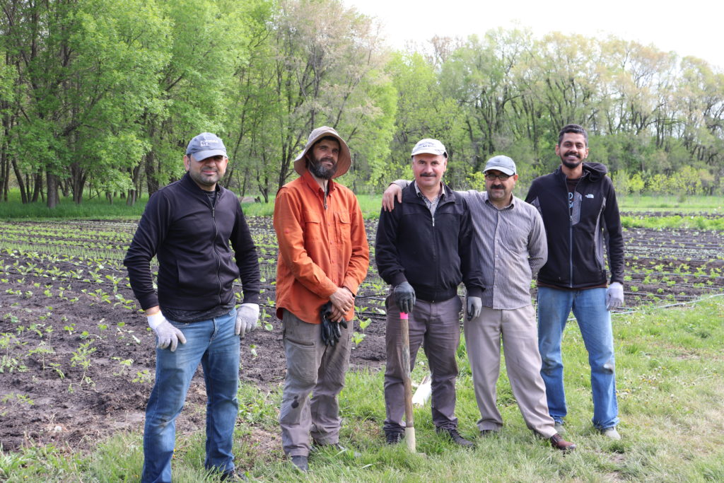 Yazidi farmer participants, Farm Program Manager and volunteer Gotham after a day preparing caterpillar tunnels